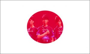 Drapeaun du Japon + eSport